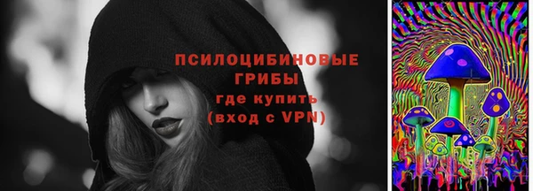 эйфоретик Баксан
