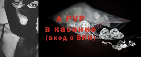 соль ск Каменногорск
