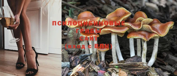 мет Струнино