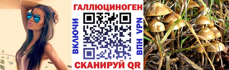 даркнет наркотические препараты  даркнет сайт  Новая Ляля  Псилоцибиновые грибы GOLDEN TEACHER 